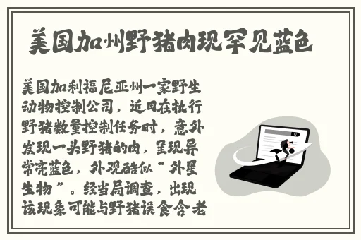 黑料不打烊吃瓜爆料网站
